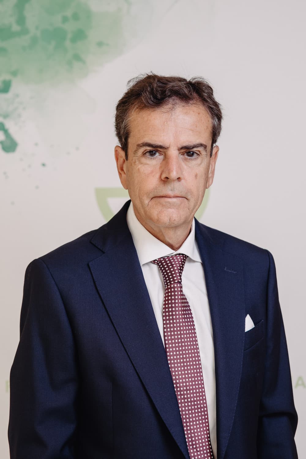 Fernando Gallo Mendicouague